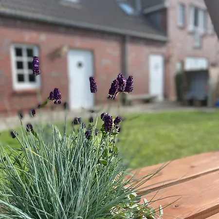 Karl Sonnenstrahl Διαμέρισμα Wulfen auf Fehmarn