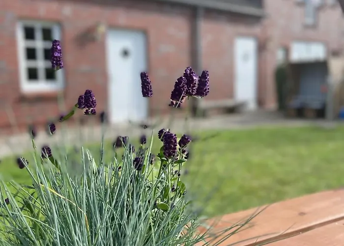 Karl Sonnenstrahl Lägenhet Wulfen auf Fehmarn